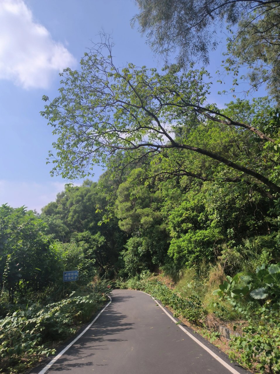 这周是滴水岩森林公园~ 滴水岩森林公园的生态环境很好,位置有点偏,山