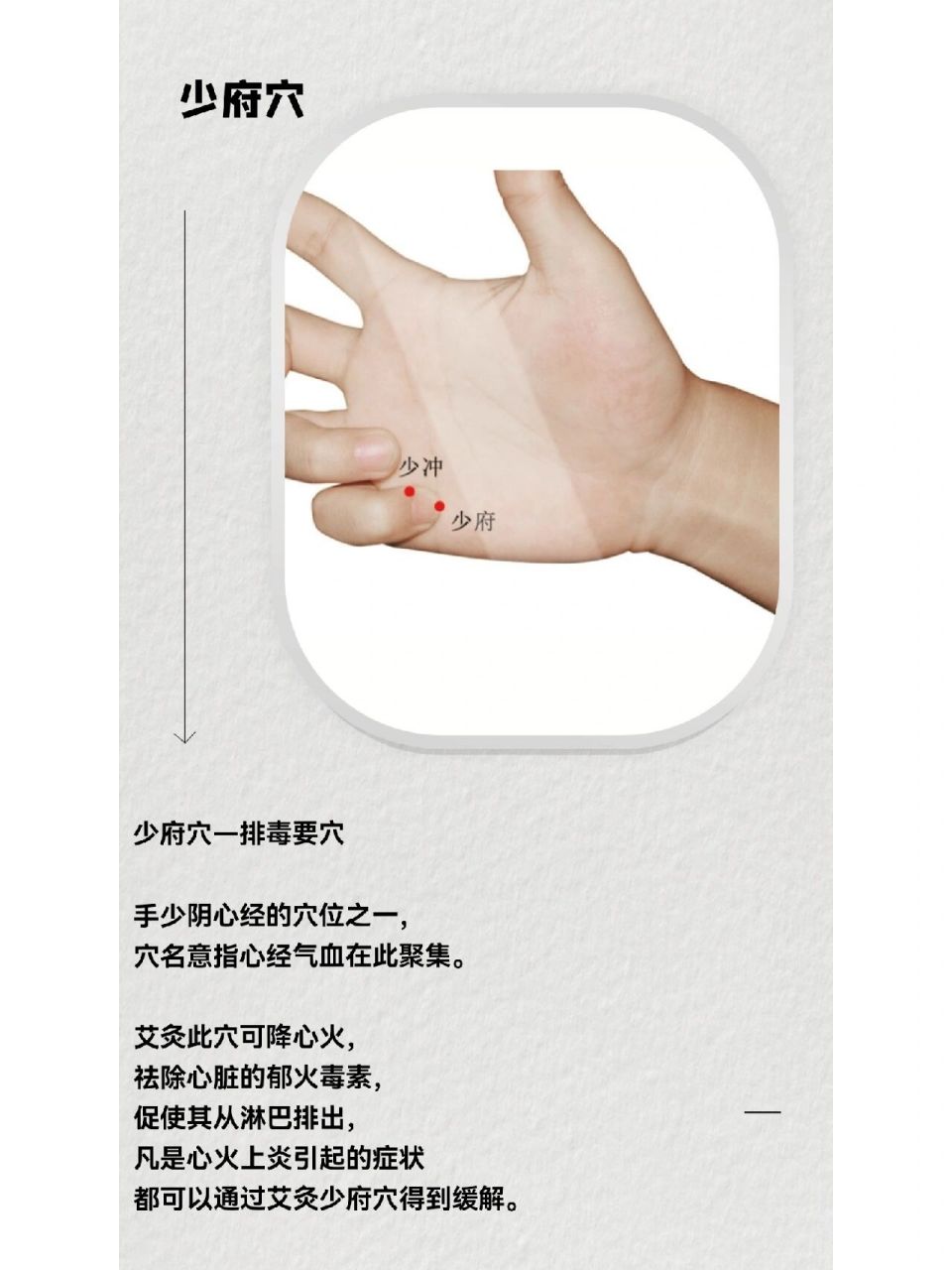 少府穴-人体排毒要穴 少府穴是手少阴心经的穴位之一, 穴名意指心经