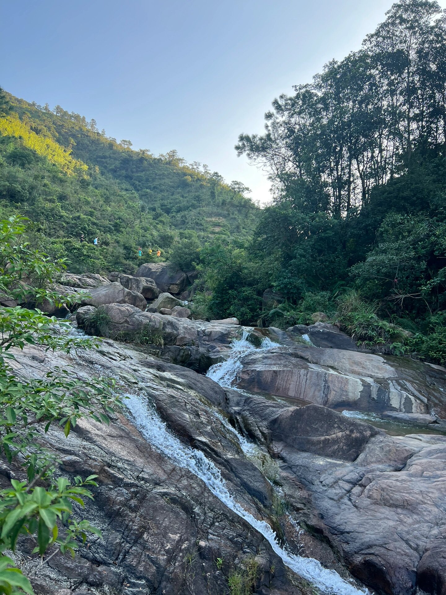 斗门黄杨山公墓地图片