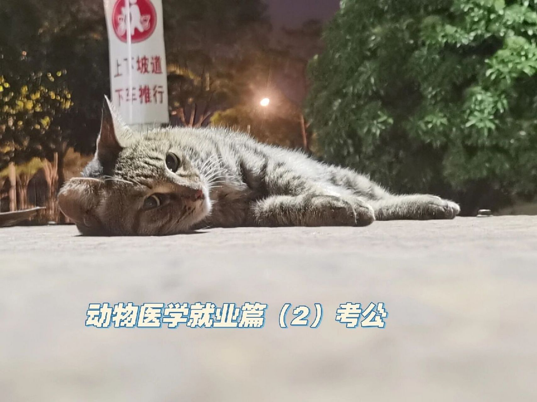 动物医学就业----考公(对表农学) 动物医学就业篇(2)考公 动物医学有