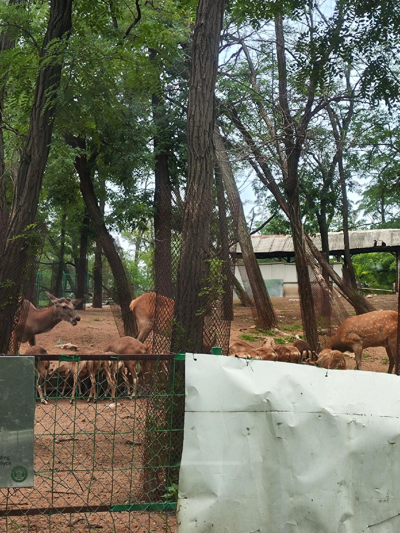 速投!1月剩下半个月还能投的央国企合集!