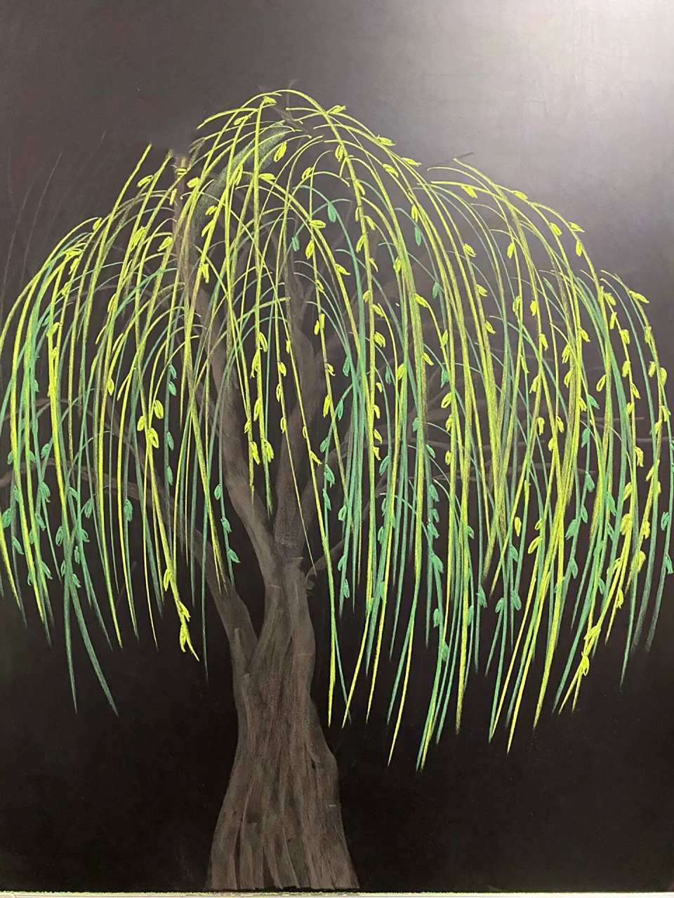 粉笔画柳树