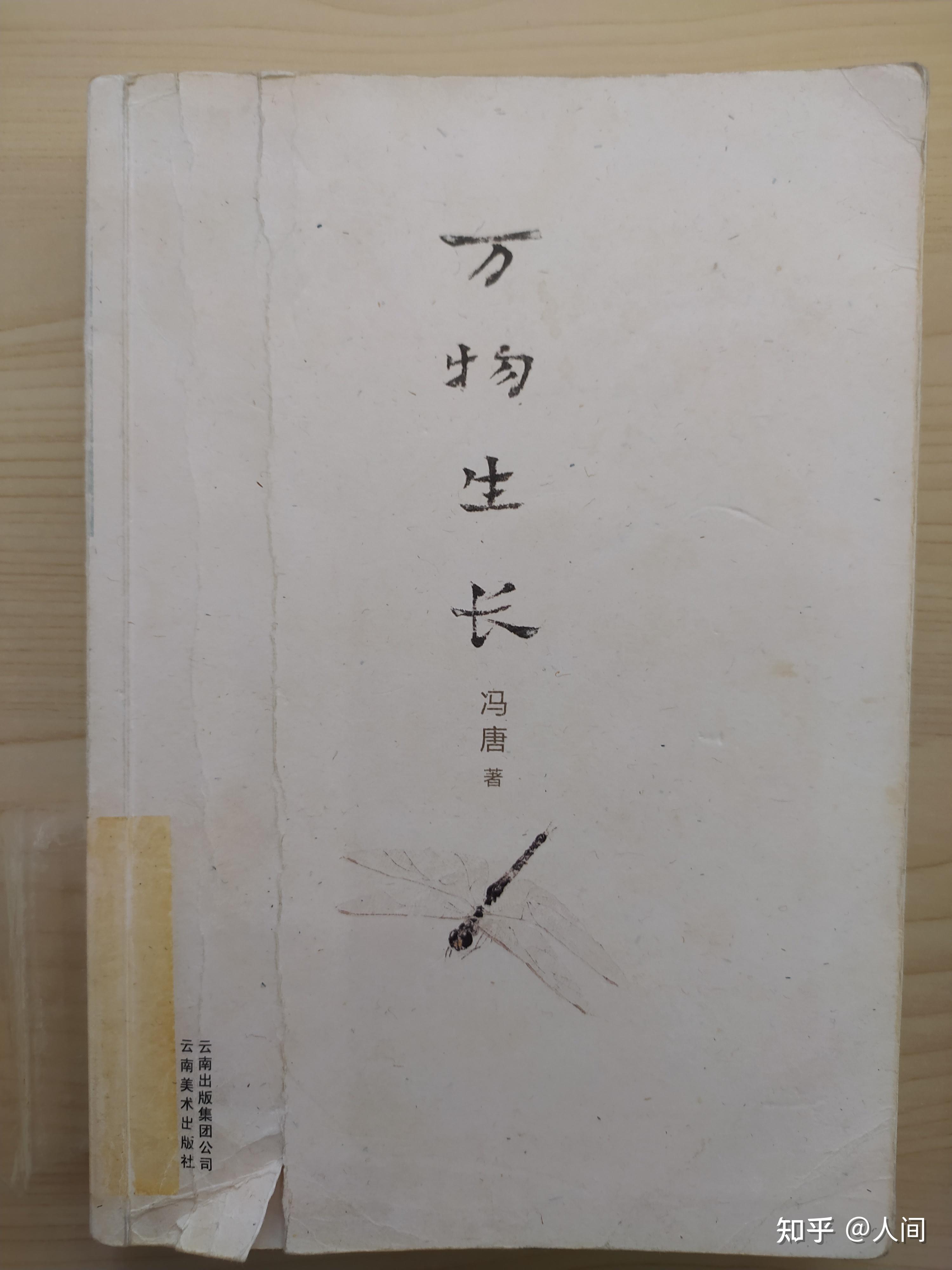 怎样评价冯唐的小说万物生长