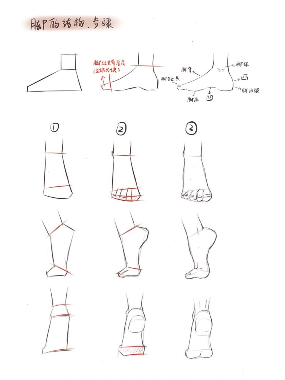 脚和鞋子的画法|详细步骤 想要画好鞋子,就要清楚的了解脚的结构!