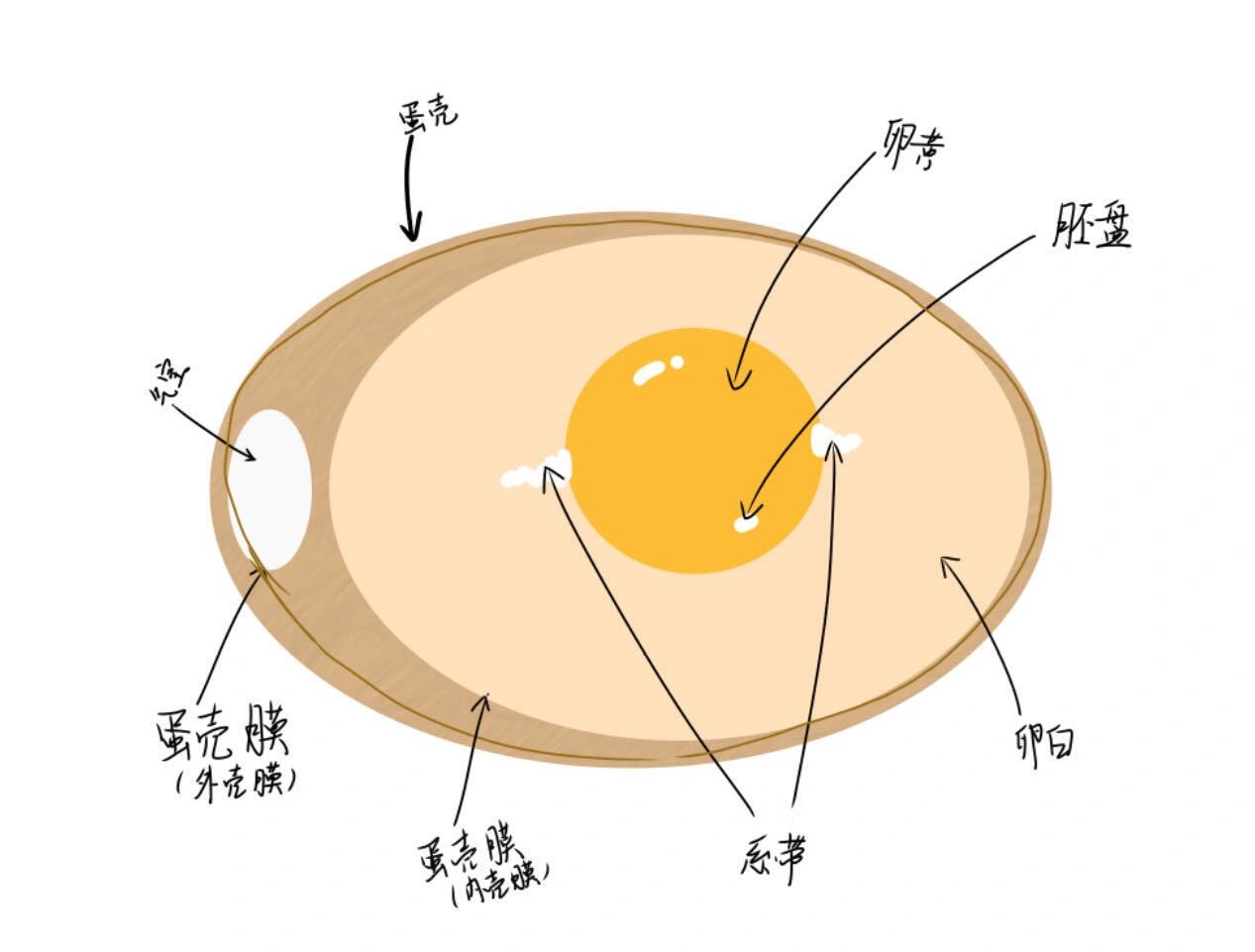 八下生物双减作业