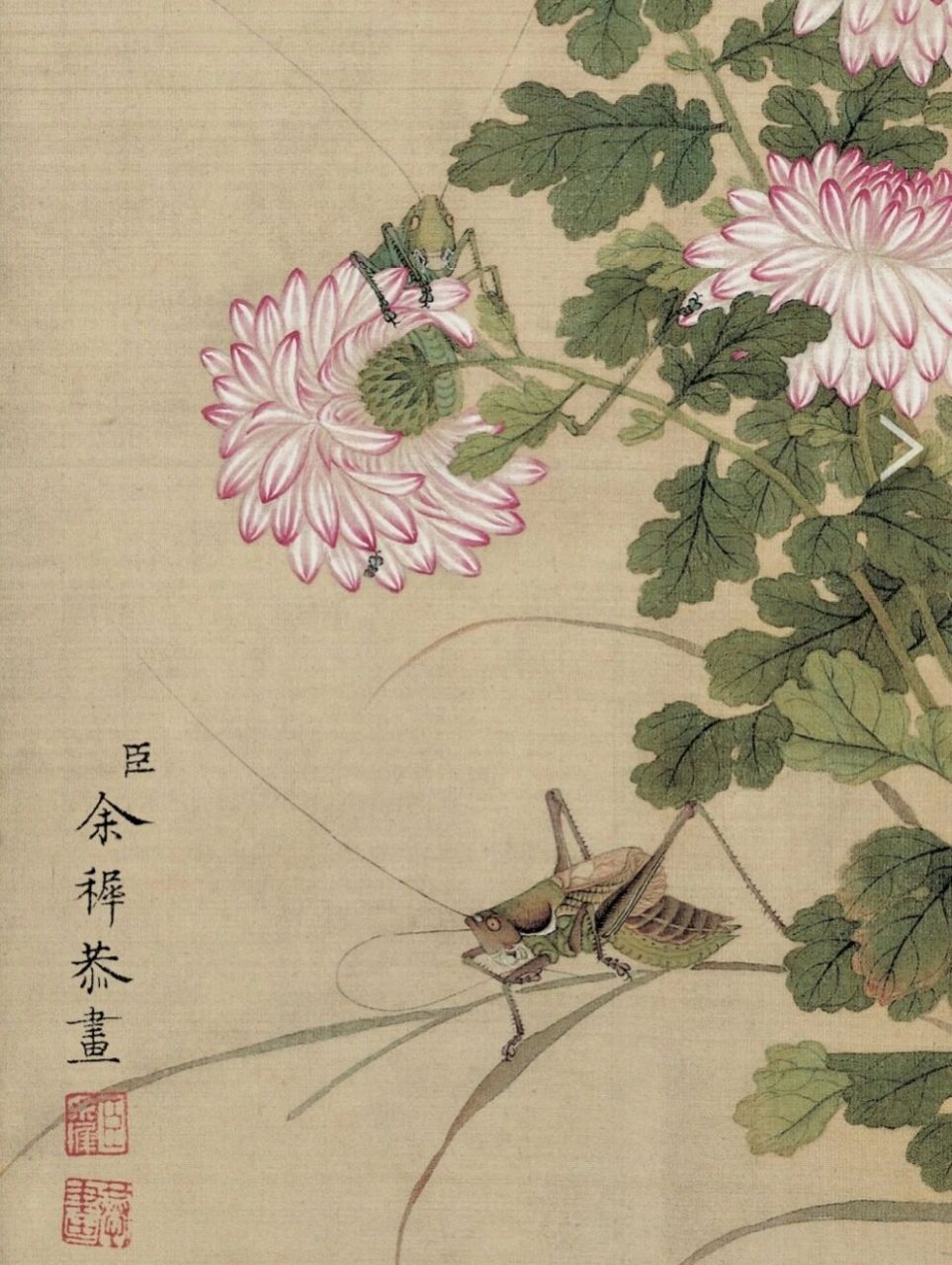 第七十八幅《花鸟图册-3》清(余穉) 《花鸟图》册,共十二开,通过绘有