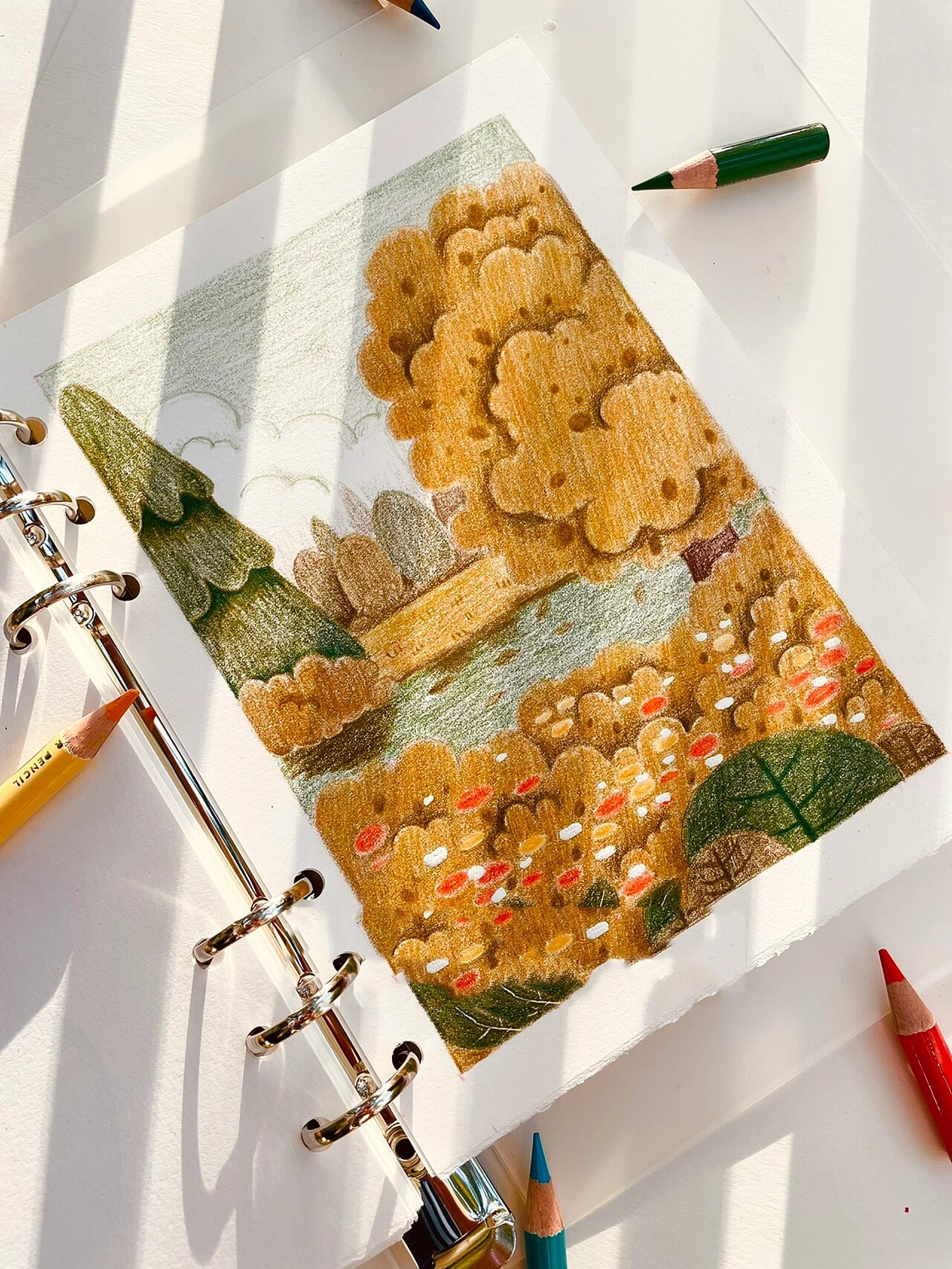 彩铅 | 卷入秋天 一个转身夏天就成了故事 一个回眸秋天就成了风景