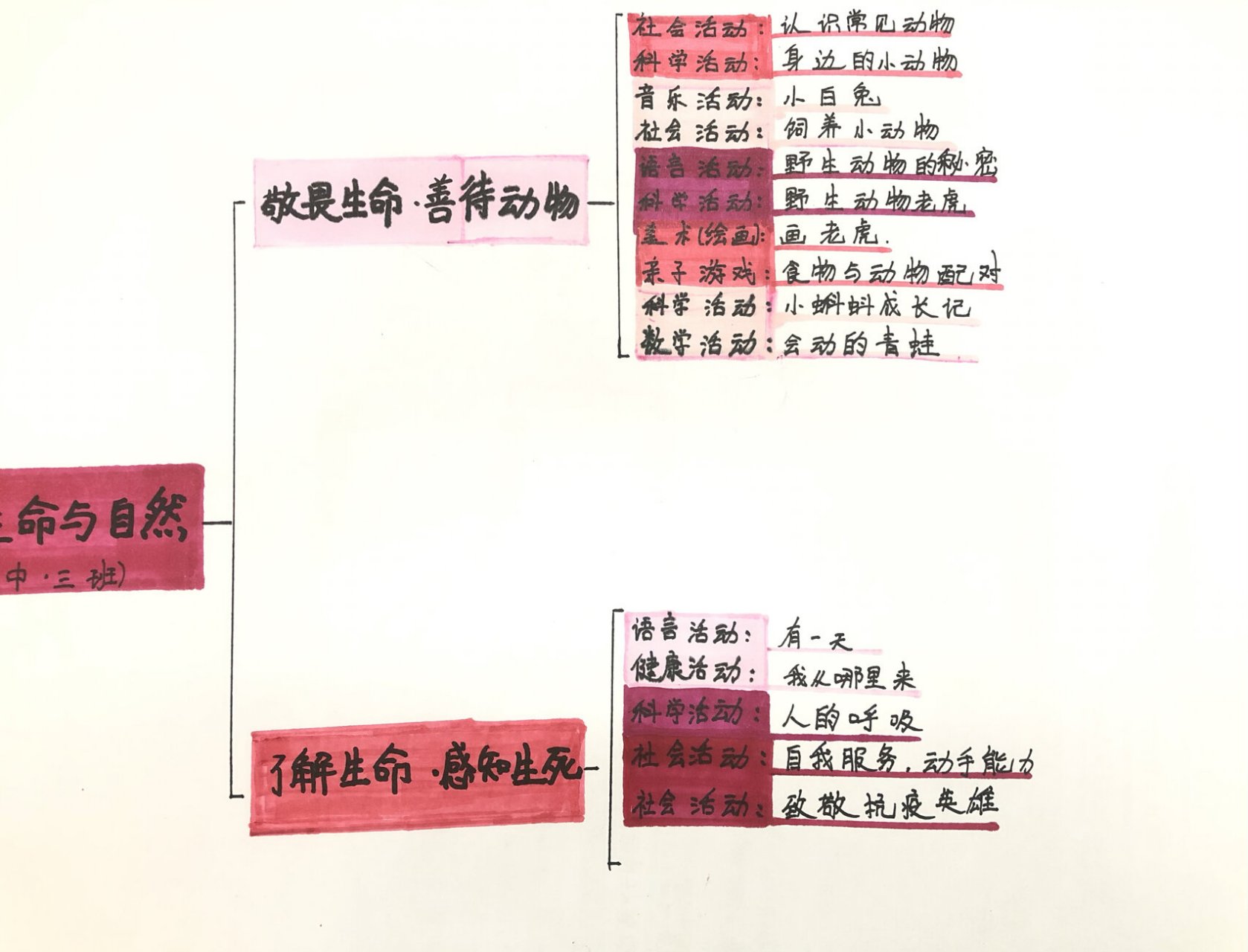 生命主题网络图图片