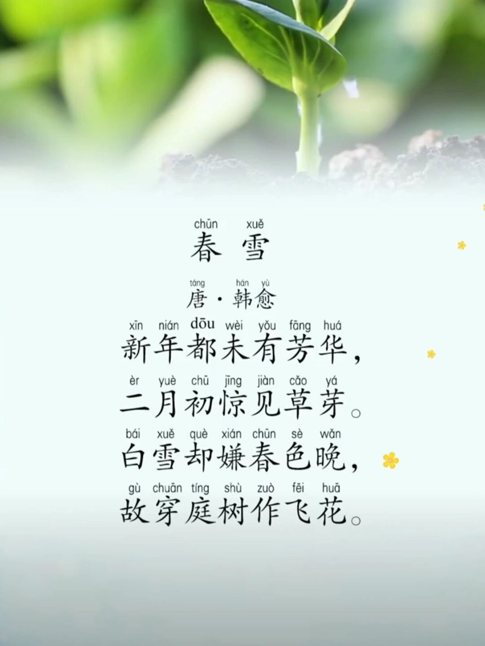 每日读诗#《春雪》 《春 雪》 【唐】·韩愈 	 9797979794