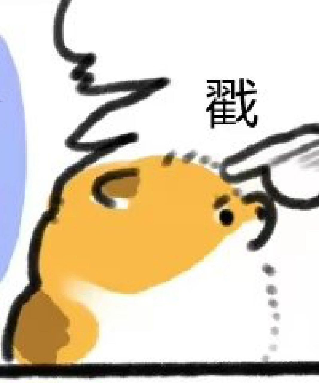 infp×infj 女朋友很少直白的说喜欢我 我是蝴蝶,女