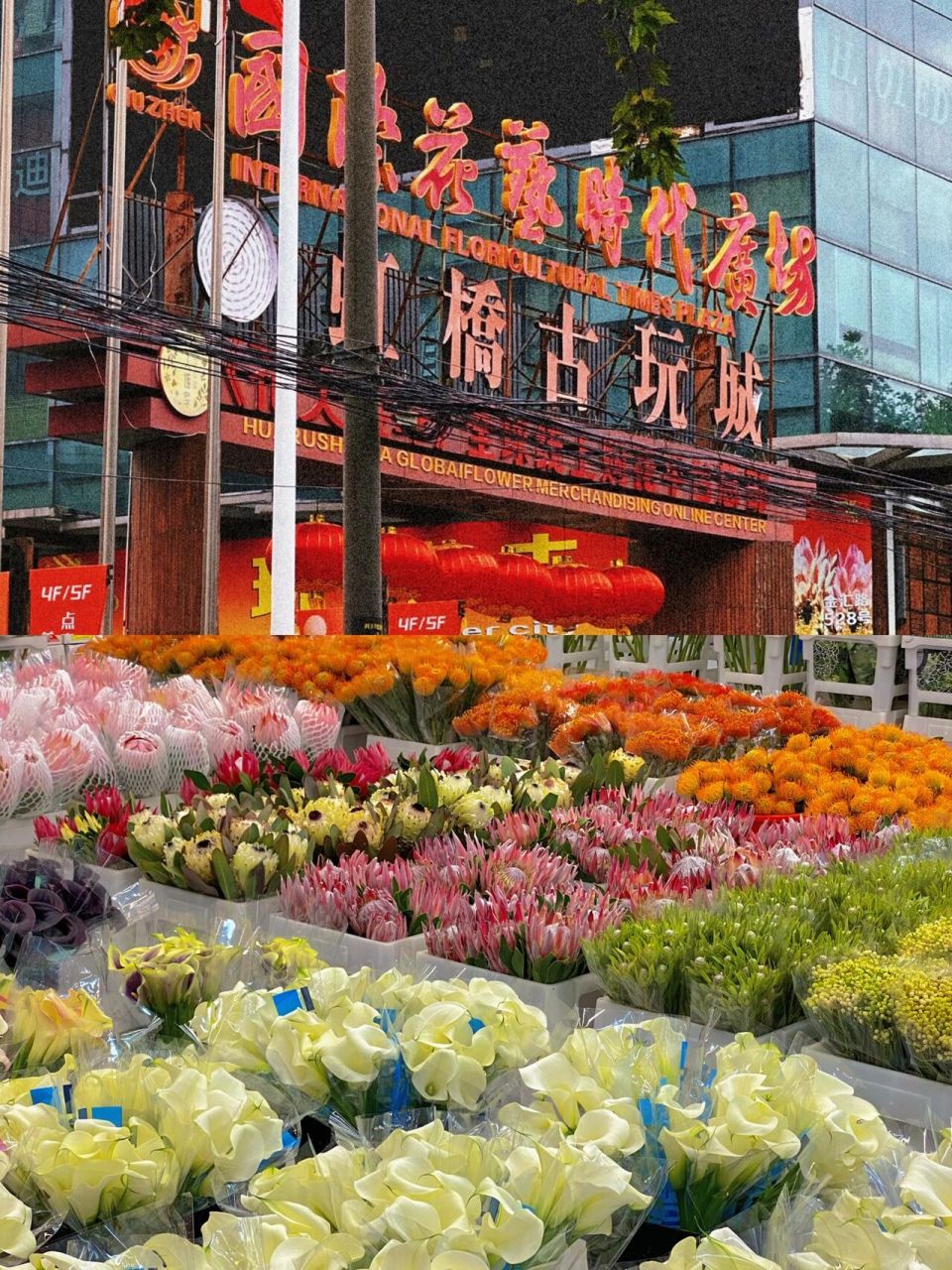 虹桥古玩花卉市场|让你实现鲜花98自由 和我一样每周都要买花95超