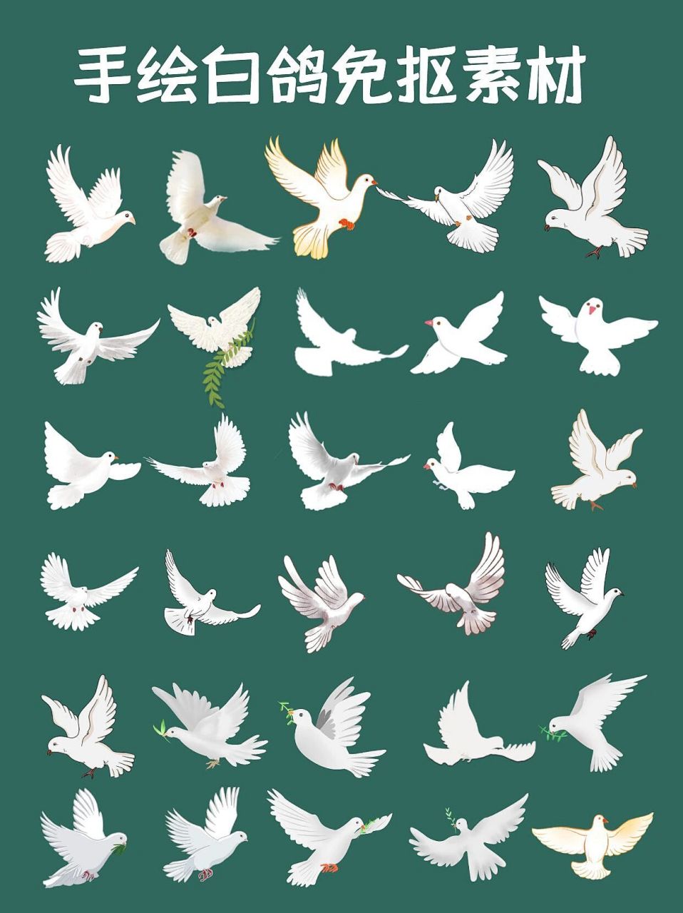 白鸽92手绘鸽子展翅高飞|png素材 hello～,宝子们晚上好吖 今天给