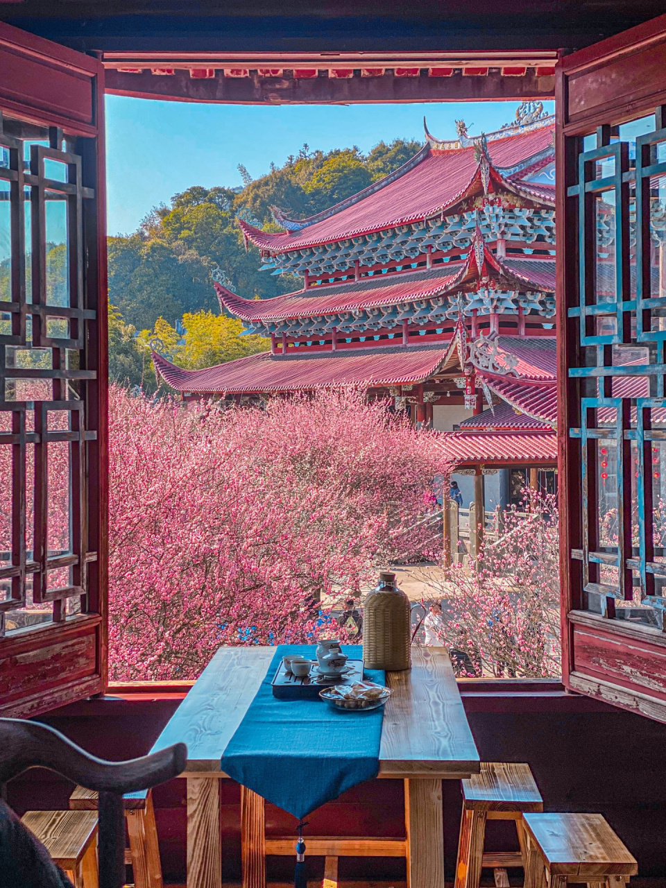 等福州天气好了!我要在去一次林阳寺 快过花期了,现在超美!