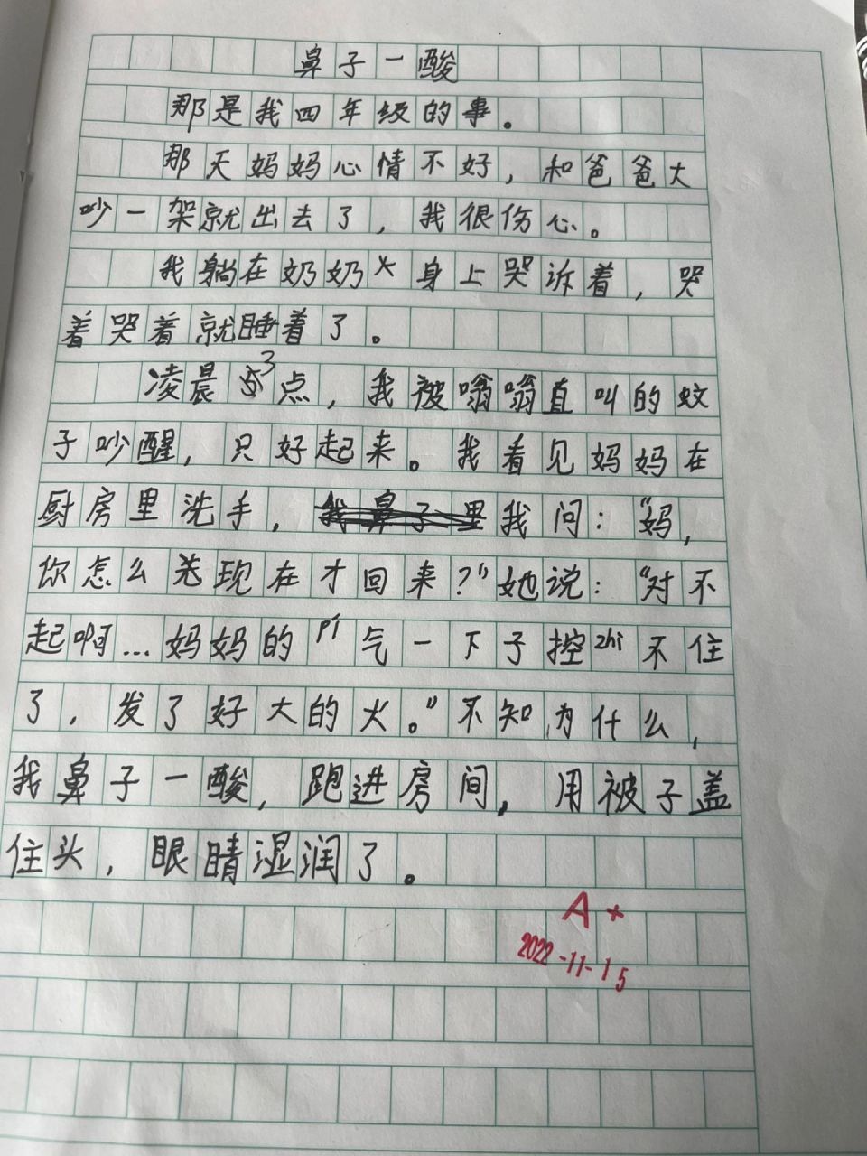 小练笔一张照片300字图片