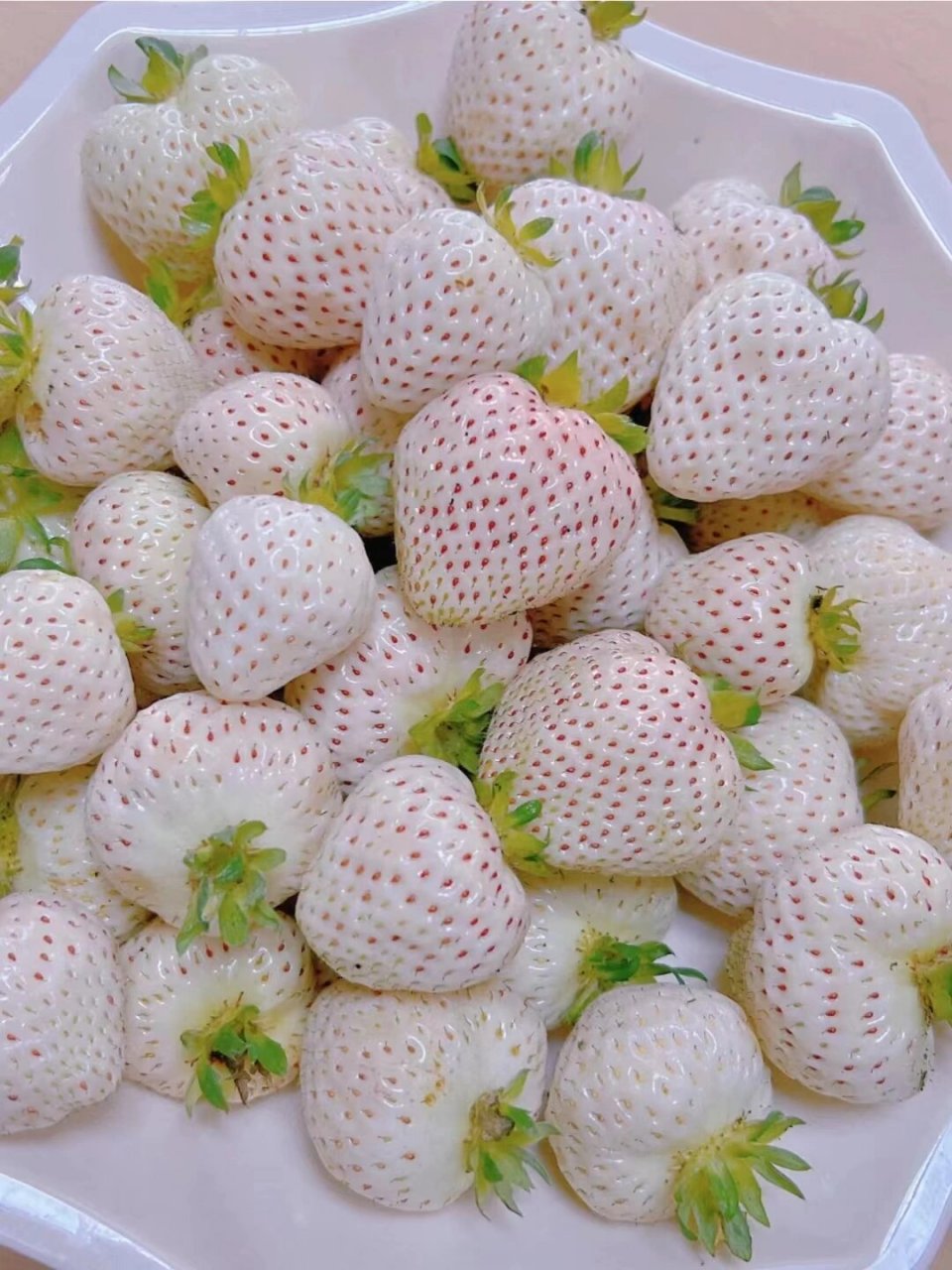 图上是我们去年冬天收获的草莓,也真的是吃草莓吃到饱 	 91品种特性