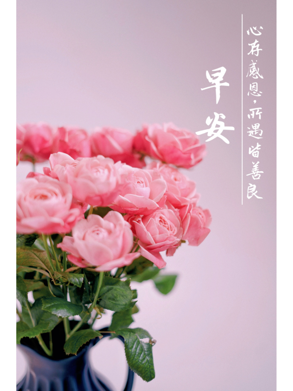 早安文案|朋友圈文案|正能量|早安美图 生活既要尽心 也要随心 既要