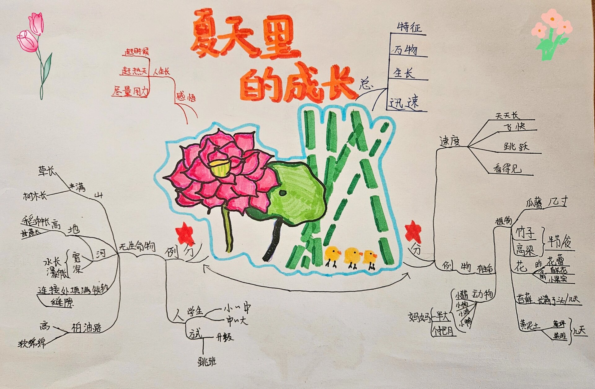 六年级语文