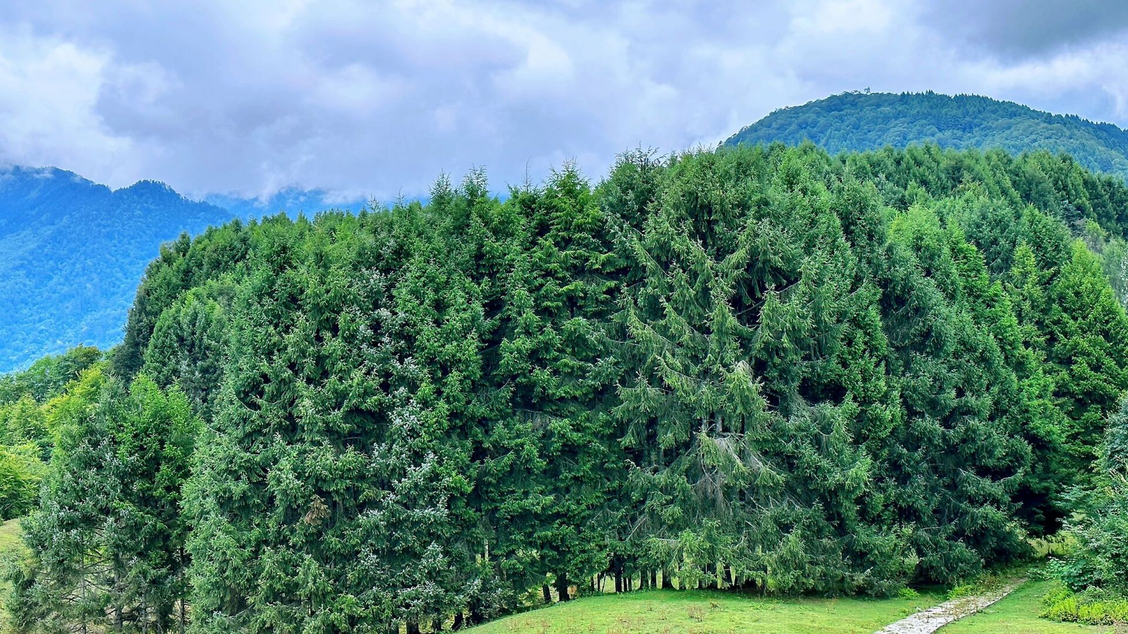 5小时 导航汶川熊猫坪乡村民宿,到达之后有一条小路