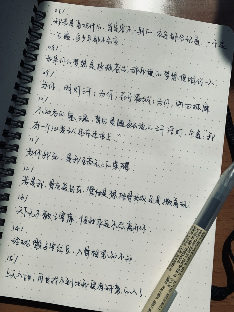 92手写书摘 天官赐福 #天官赐福