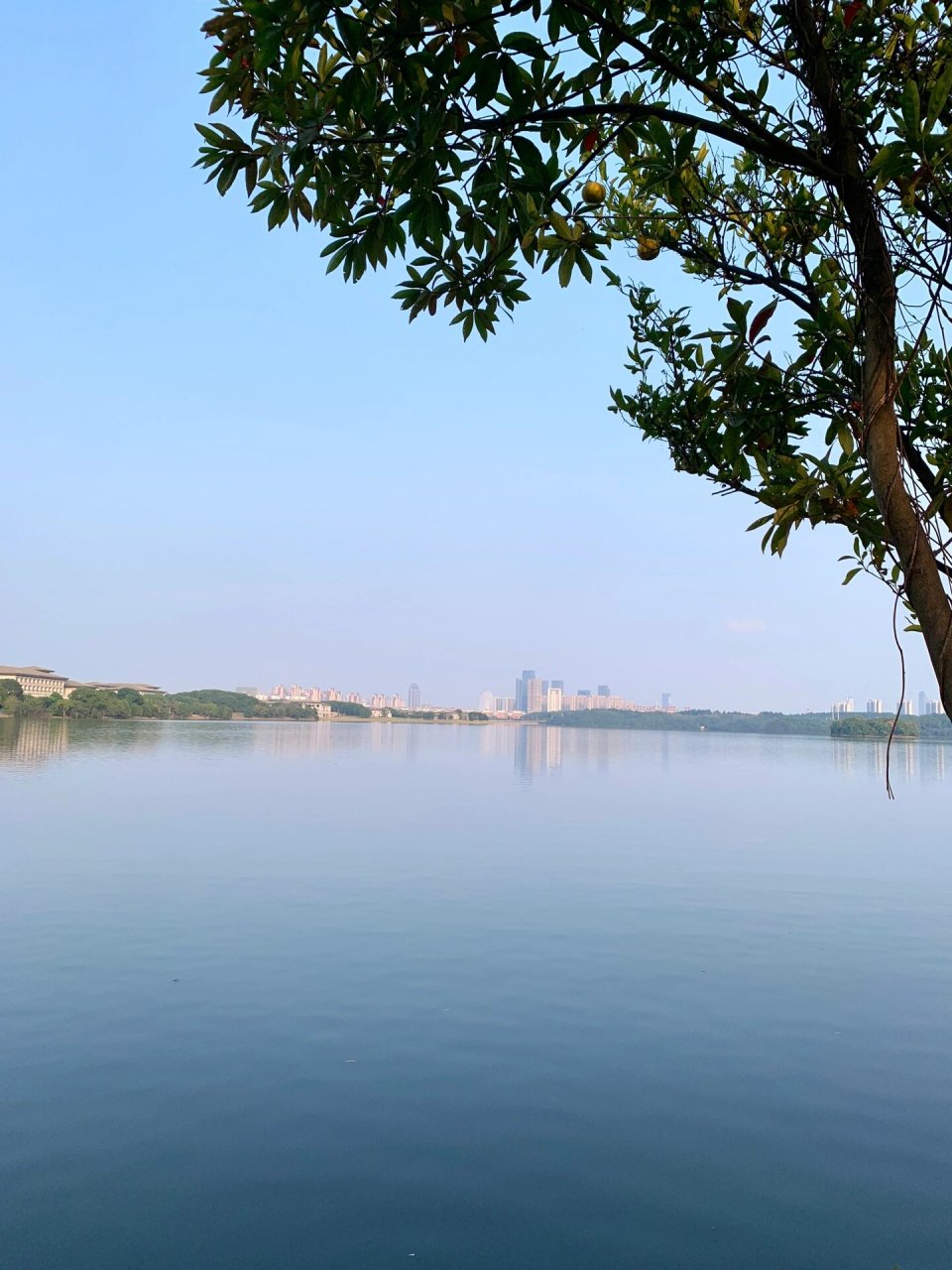 南昌前湖公园拍照太好看啦!人还少!快冲 人很少!拍照很出片!