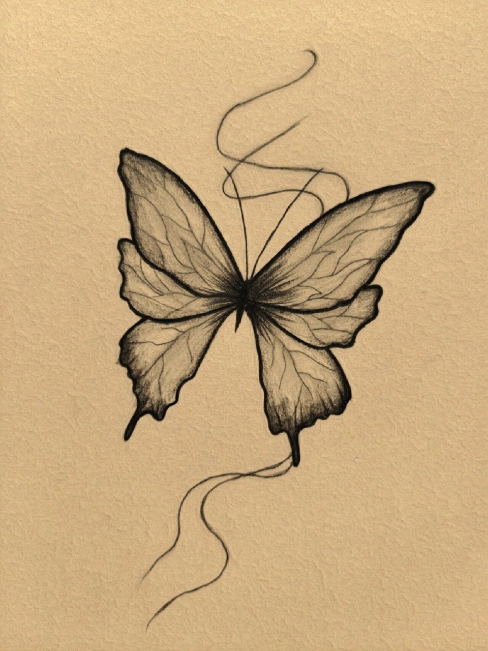 手绘蝴蝶03 #纹身# #手绘临摹# #蝴蝶纹身