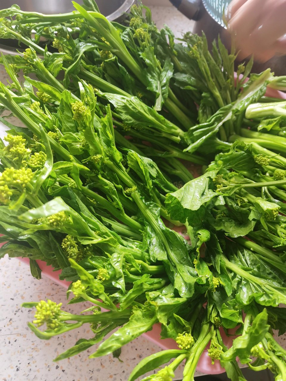 冲菜|刻在记忆里的味道 冲菜|刻在记忆里的味道 作为一名已到中年的