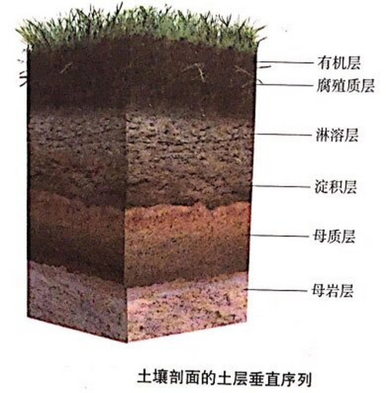 泥土分类图片