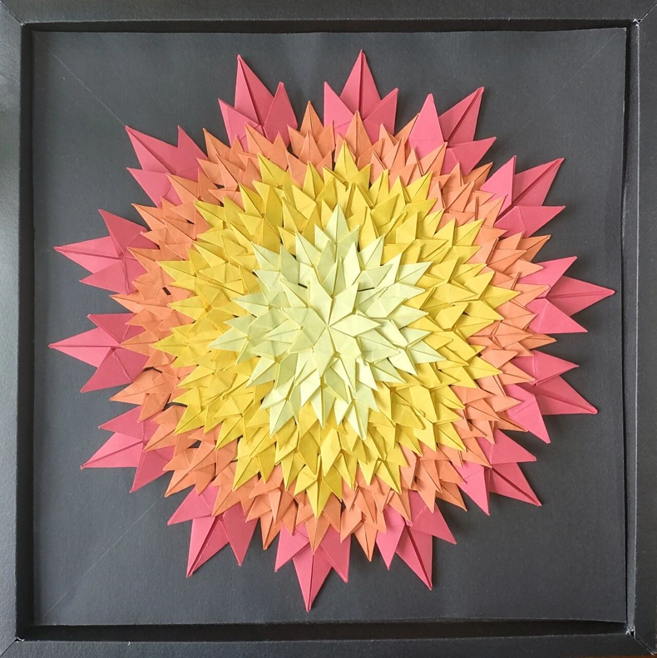 立体构成作业 仿生半立体 猫猫和花是衍纸 后面的是折的一个个按颜色