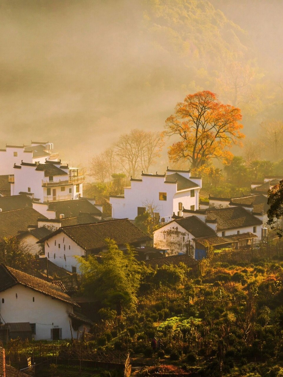 中国乡村风景最美图片