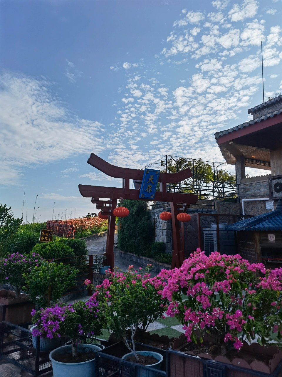 石鼓书香 鼓山 和闺蜜一起爬山.赏心悦目,喝喝茶.