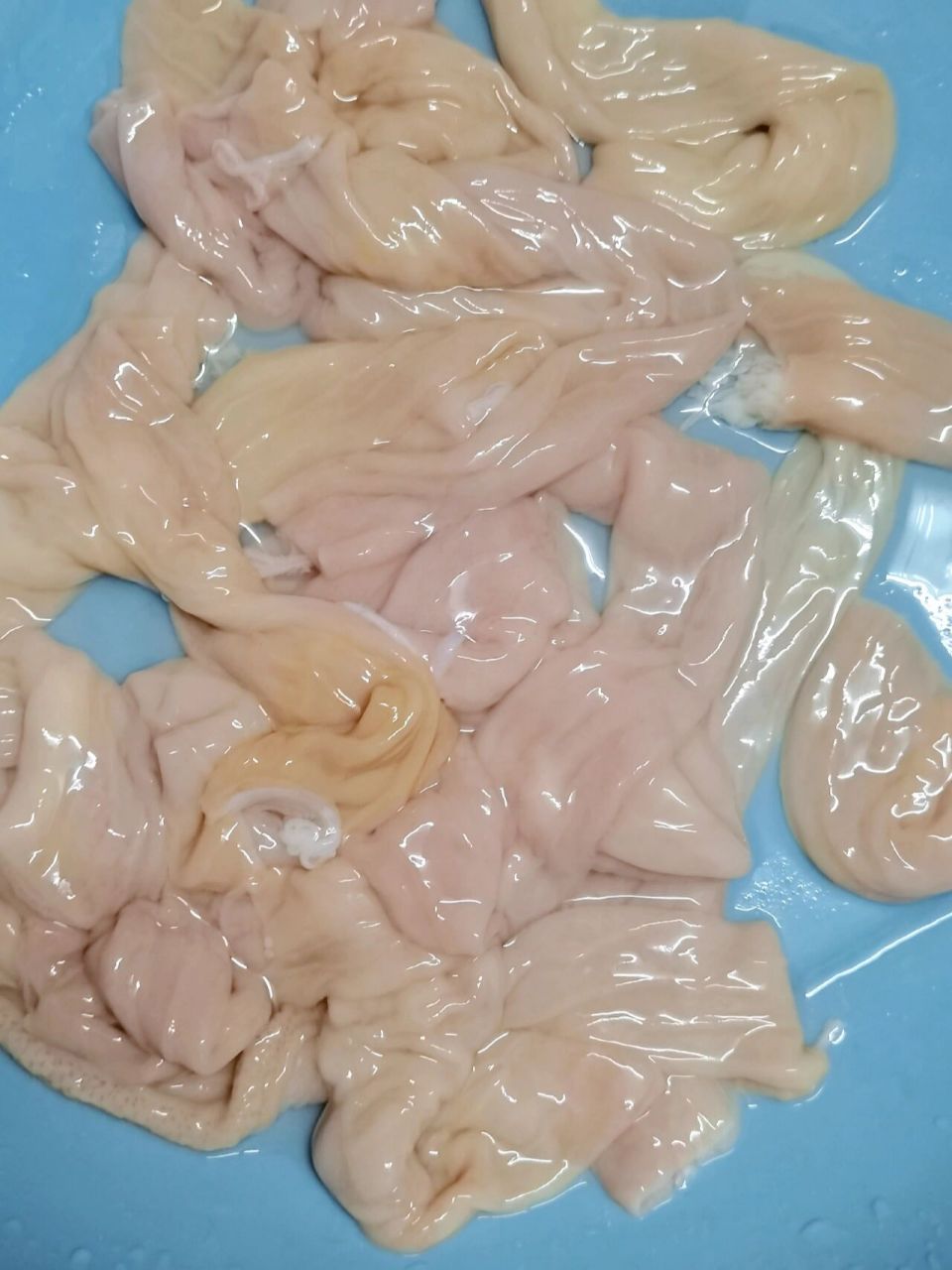 家常菜:豉汁蒸粉肠! 材料: 粉肠(14米),豆豉,调味料 … 过程: 1.