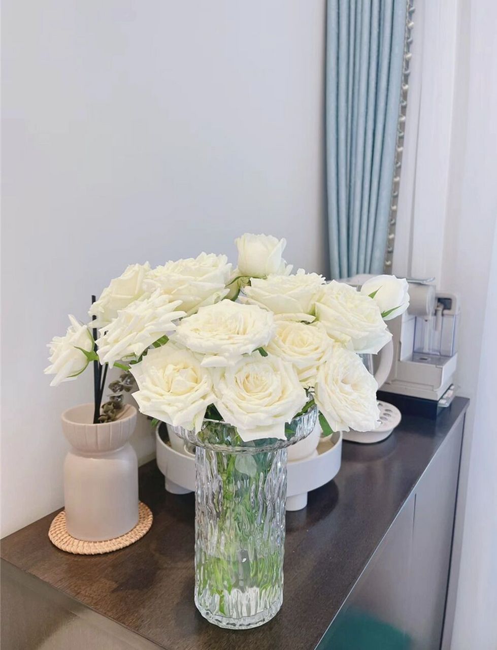 每天认识一种花--坦尼克玫瑰 经典白玫瑰坦尼克,大花型,带网套!