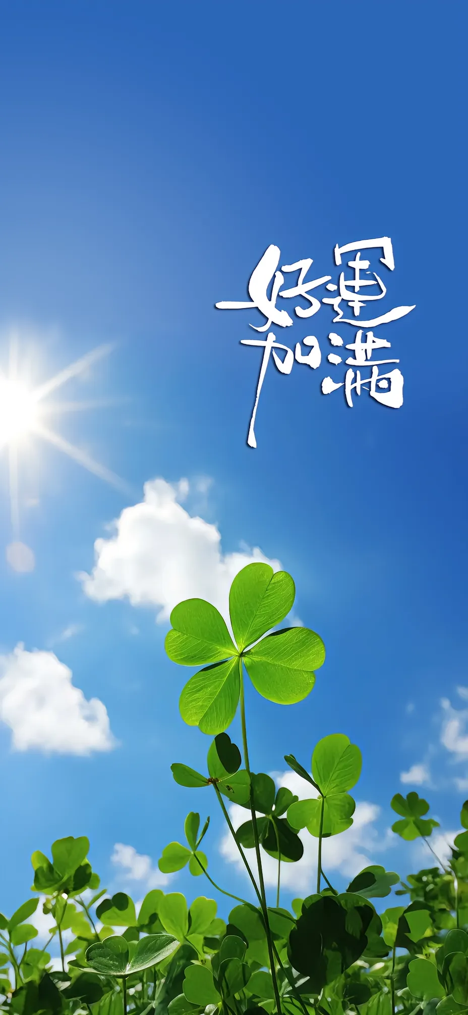 送你一颗幸运草,给你满满的好运!前途光明,一路生花