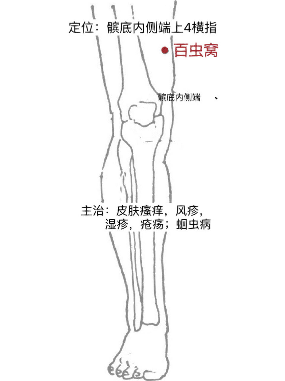 5～1寸.可灸. 按摩:每次三到五分钟,可以辅助治疗湿疹.