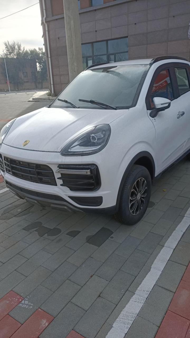 四轮低速电动车 新能源电动汽车龙启四轮皮卡专营