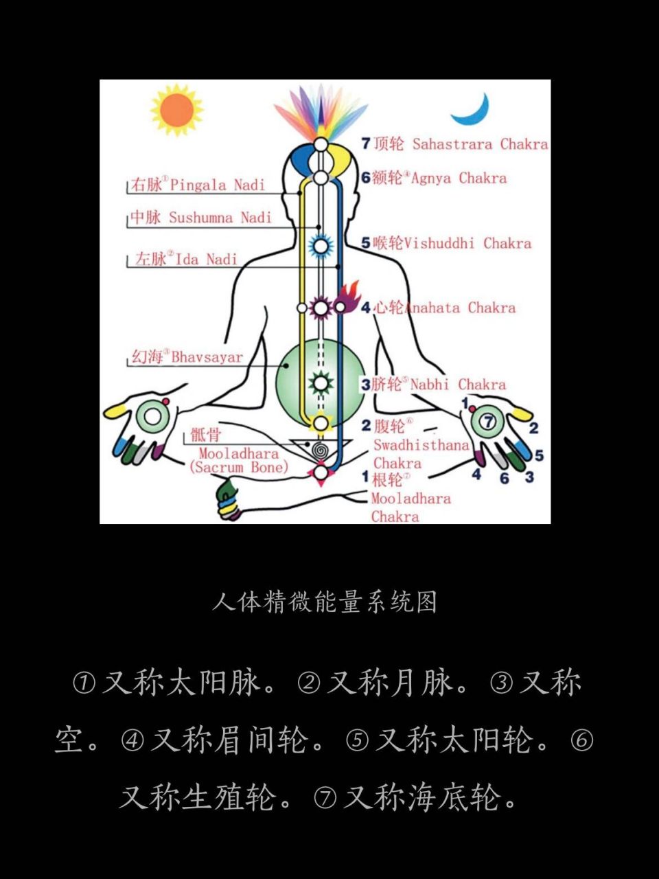 七个脉轮 在瑜伽知识里,有一个词叫"七轮",也就是七个脉轮点(能量中心