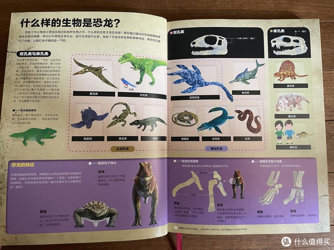 如水妈妈推荐好书篇二十九如果大雄有恐龙百科全书那一定就是这本书这