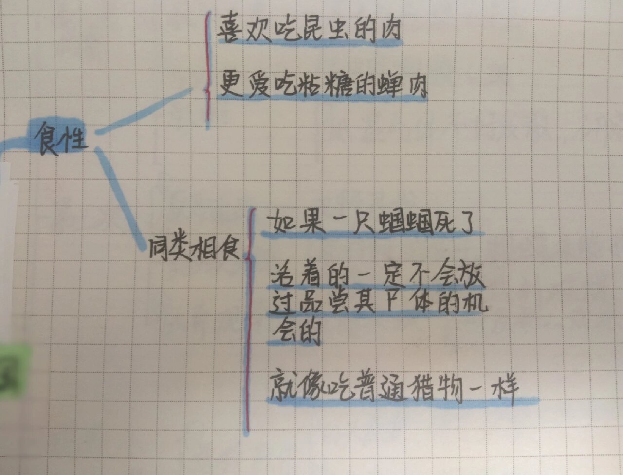 昆虫记绿蚱蜢思维导图图片