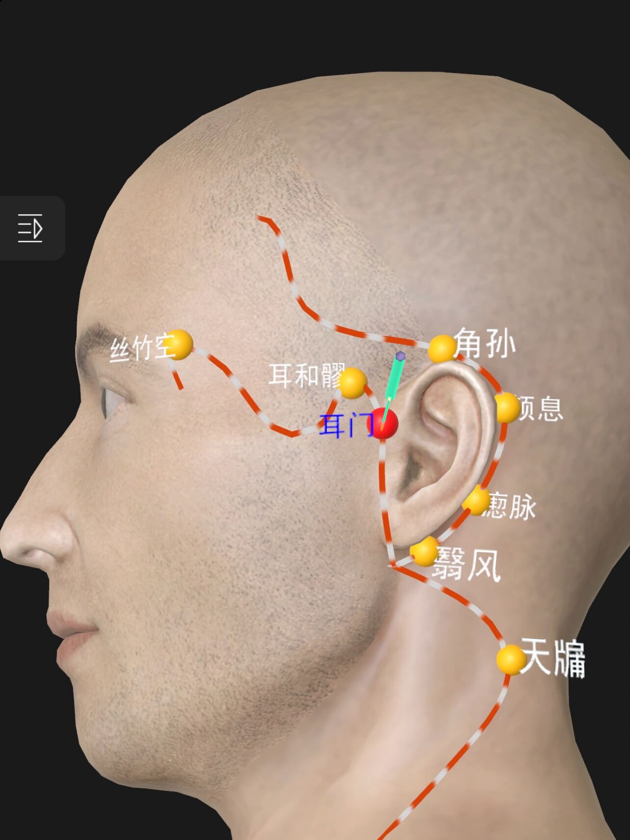 穴居外耳道口腔,功能聪耳助听,有如声音入耳之门户,故名.