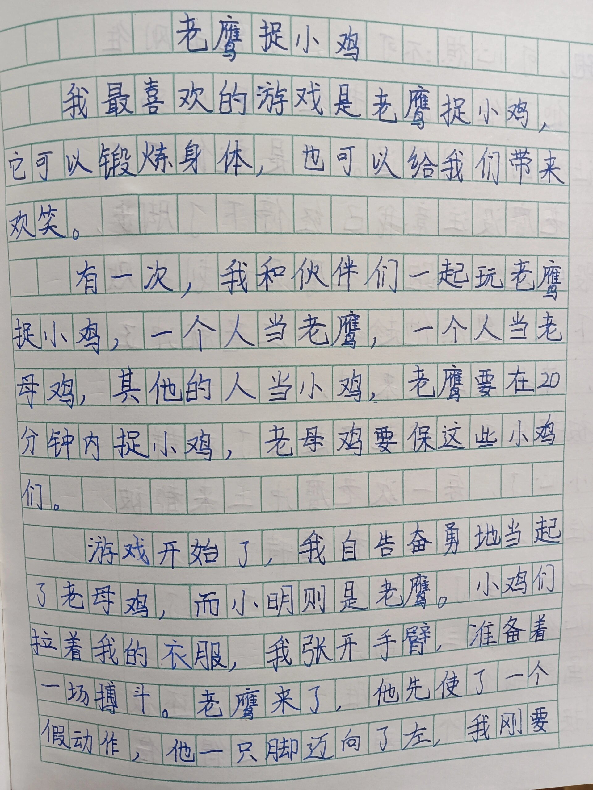 老鹰捉小鸡作文图片