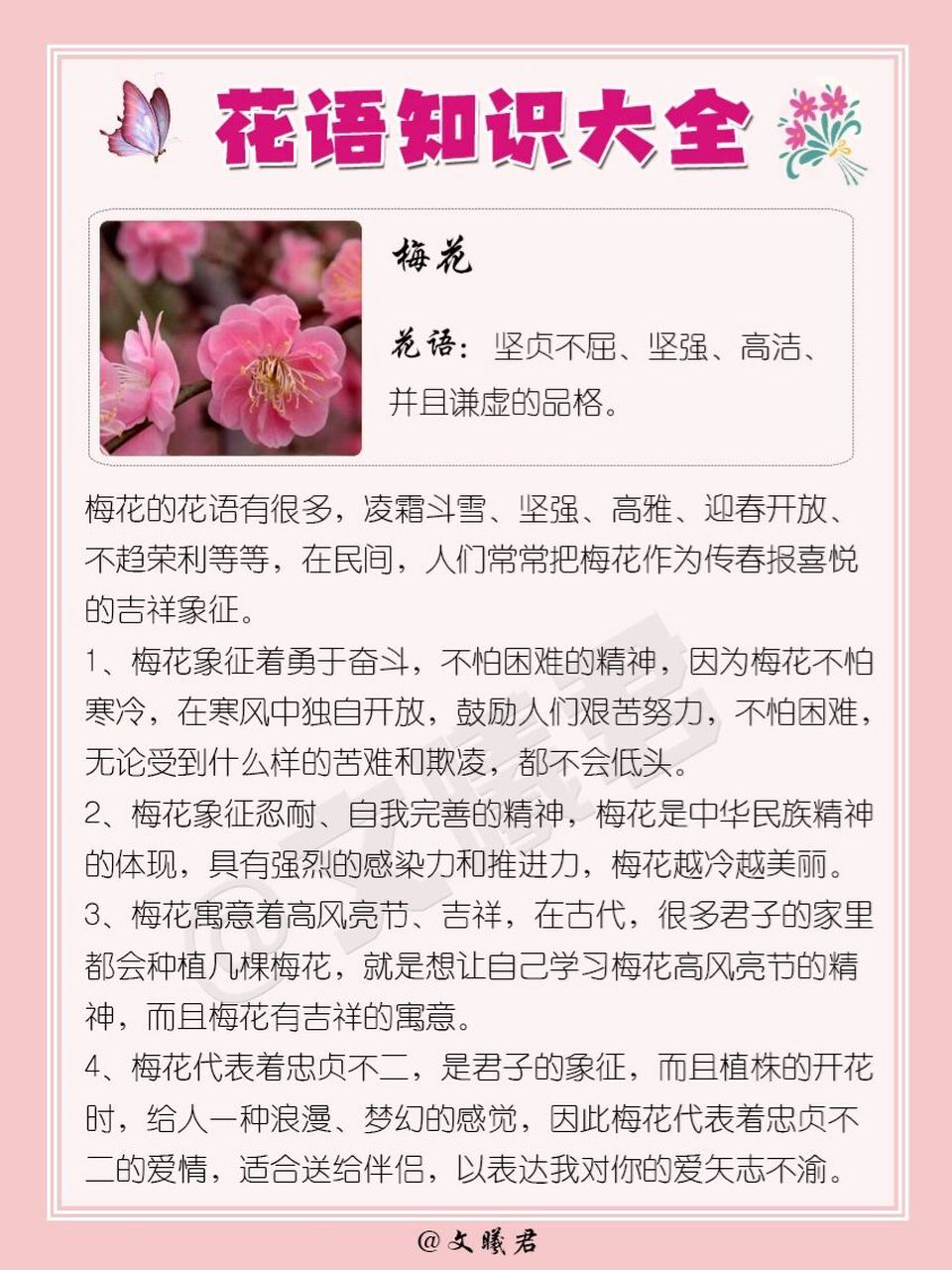 腊梅花花语精神图片