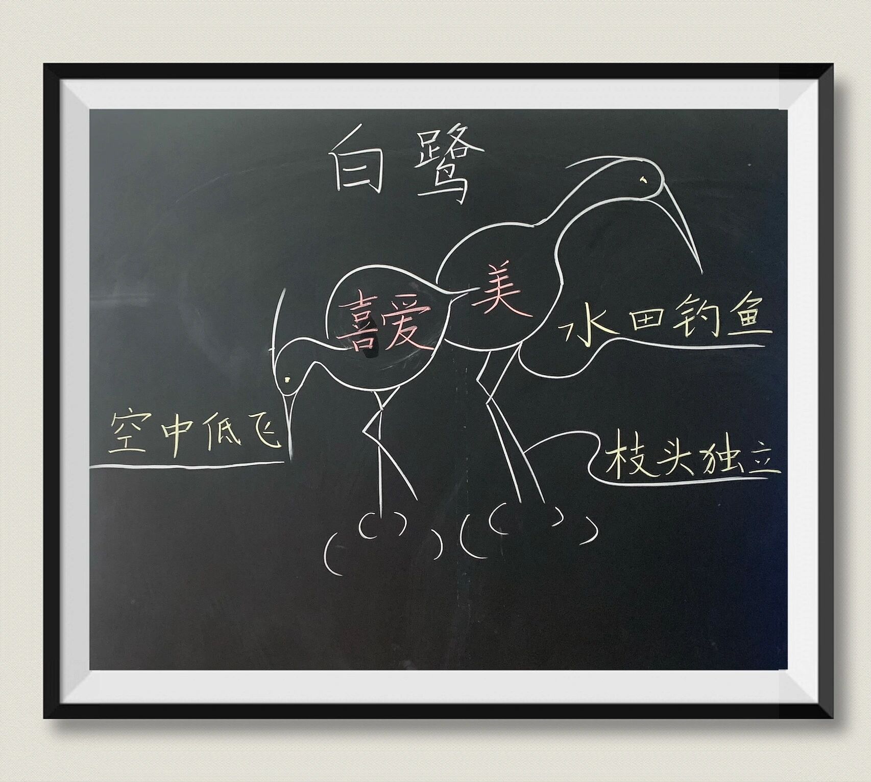 板书设计《白鹭》