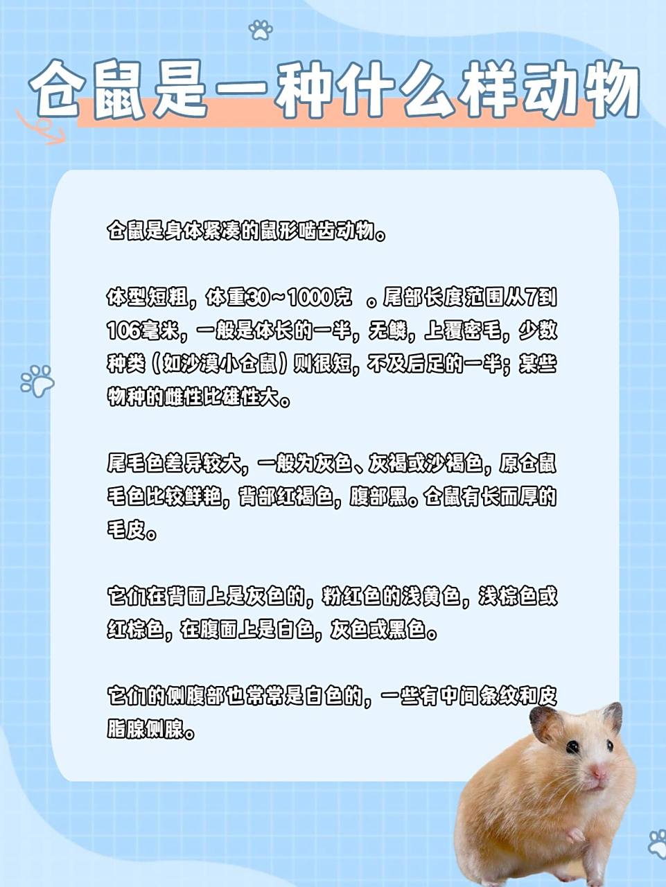 最强科普丨仓鼠可以活多久717171 仓鼠91的寿命通常就是1.