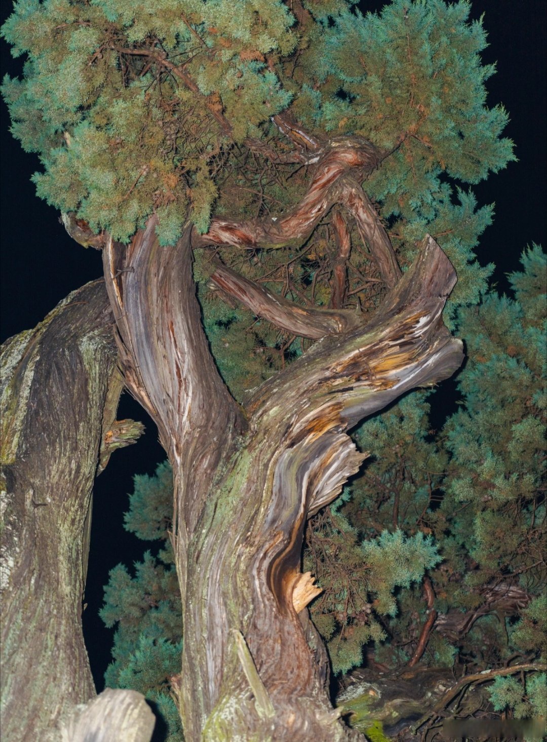 无论发生什么,记得让自己保持安静,世界是自己的,与他人无关