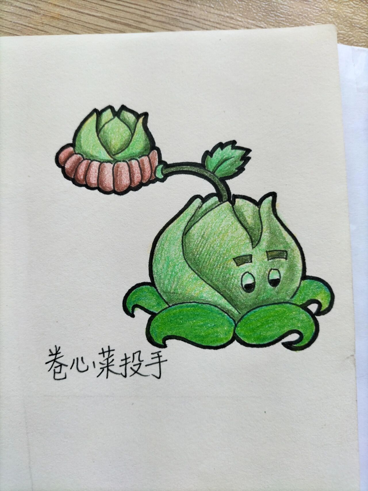 植物大战僵尸绘画 投手家族