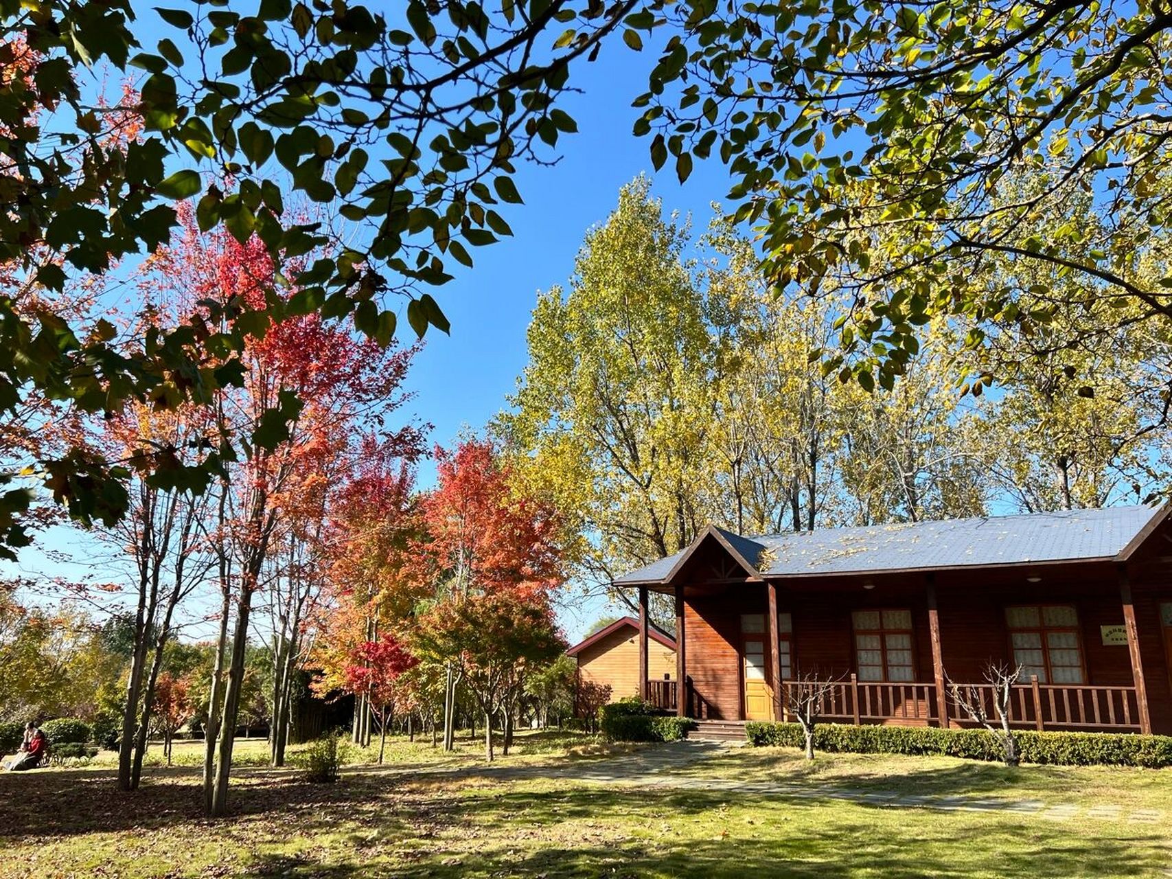 【青岛即墨61马山石林】 【马山公园61马山石林】 16615定位