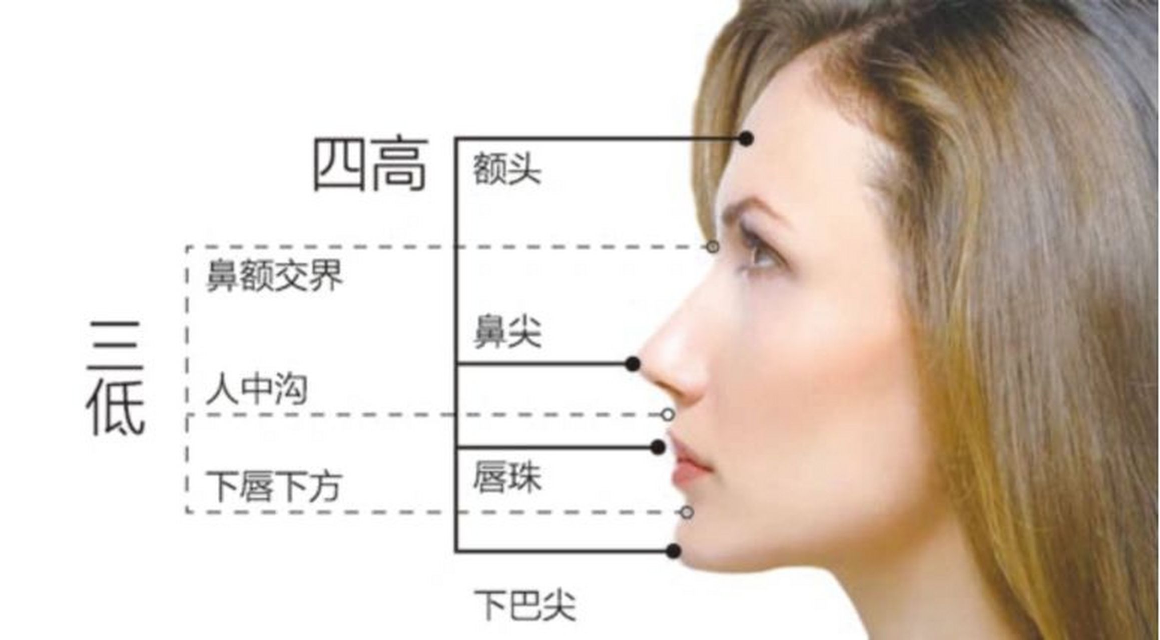 五官的美学标准| 你的面部比例够标准吗 三庭是指面部的长度比例,即将