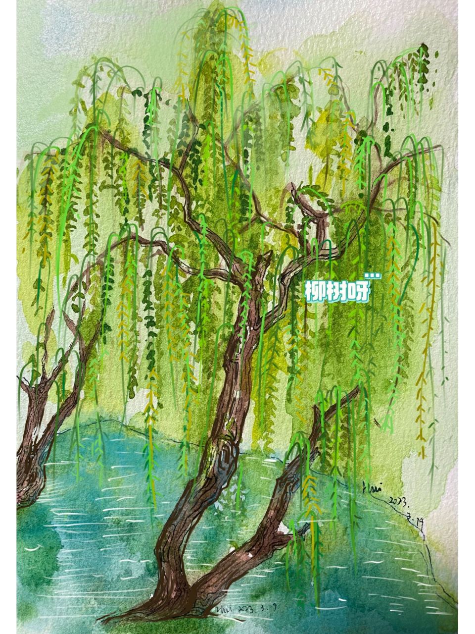 柳树线描