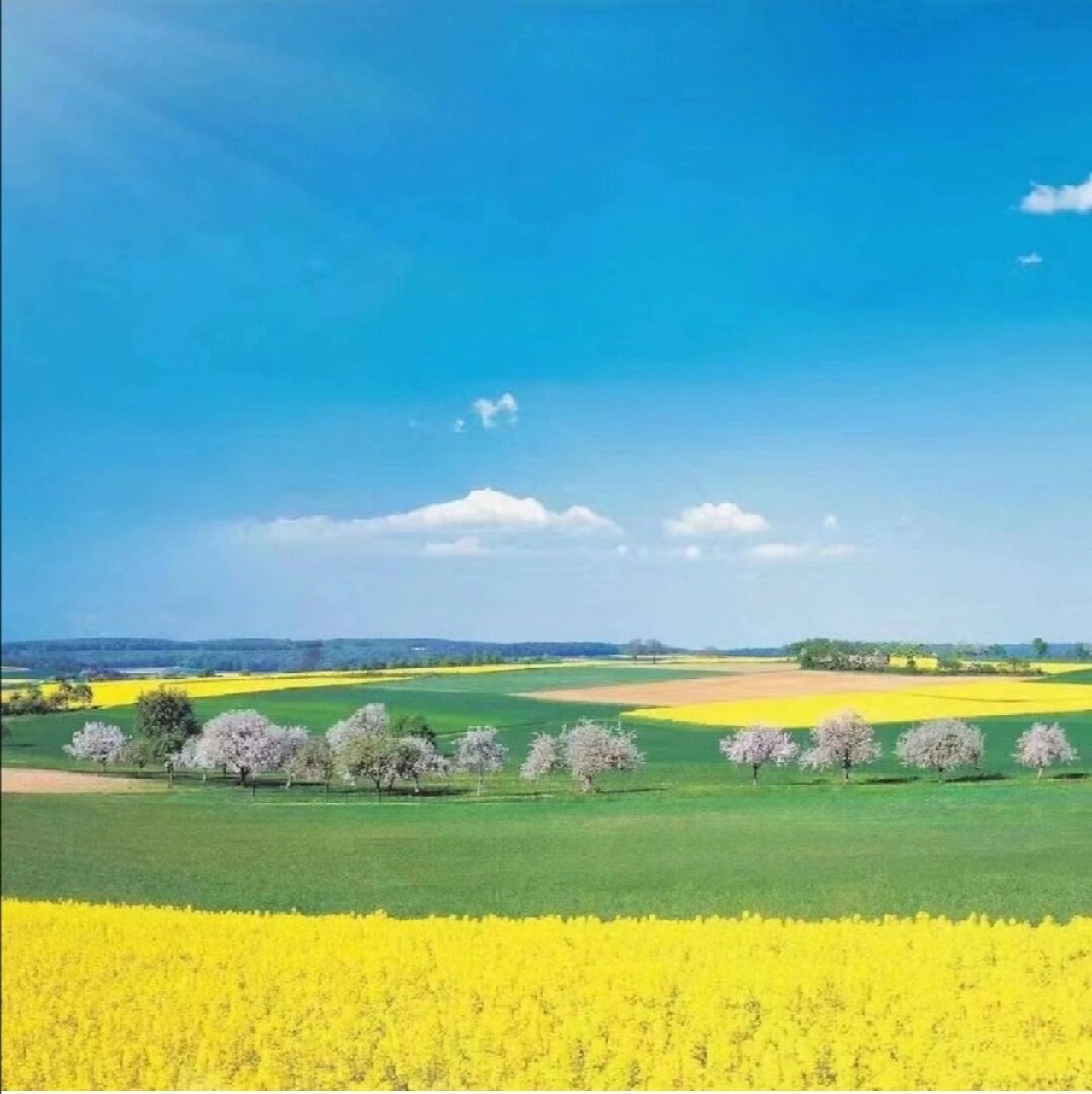 好看的头像 好看的微信头像