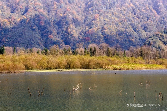 都江堰虹口自然保护区